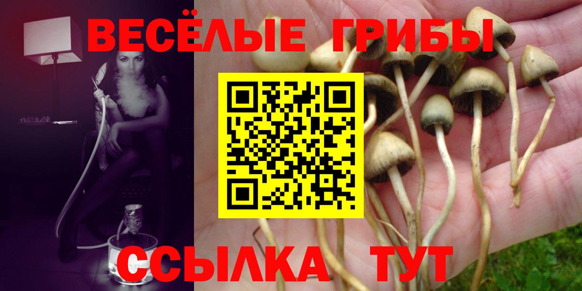Избербаш  Псилоцибиновые грибы прущие грибы  Вход с VPN 