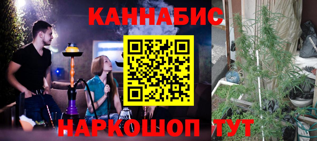 Каннабис MAZAR Избербаш